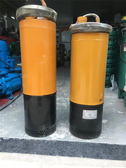 陝(shǎn)西潛污泵(beng)